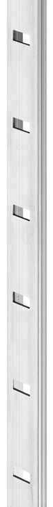 Shelf supp.rail alu.bright